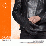 H-D-Orange-and-Black-1 copia